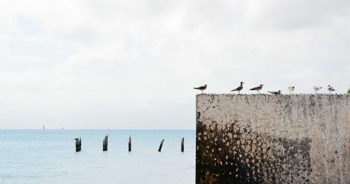 Rize’de Ağır Suçlardan Aranan 5 Kişi Jandarmadan Kaçamadı
