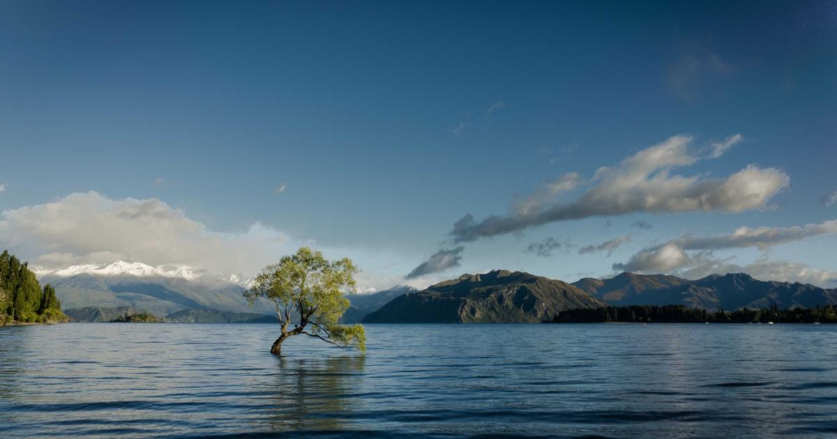 Trabzonspor Aral Şimşir İçin Rekor Teklif Hazırlığında