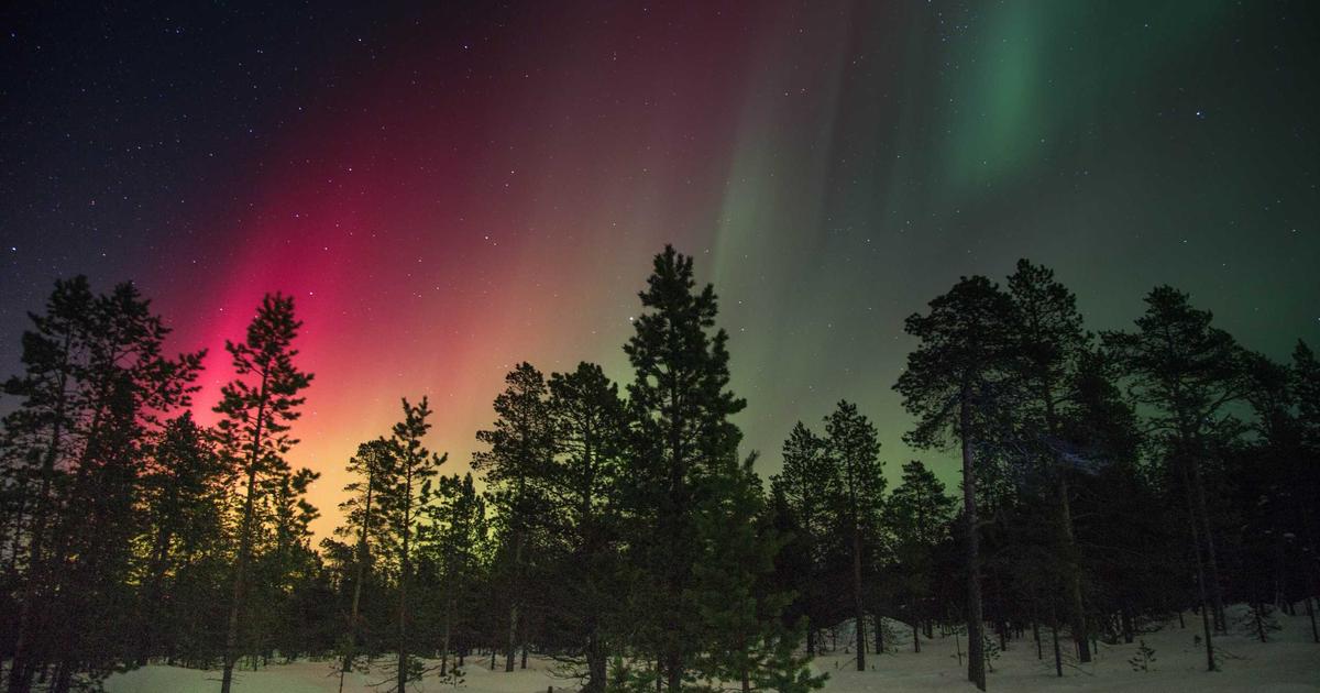 Trabzonspor Otobüsüne Samsun’da Taşlı Saldırı!