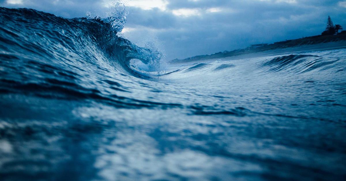 Trabzonspor’un 18 Milyon Euro Teklifini Reddeden Kulüp Açıklandı