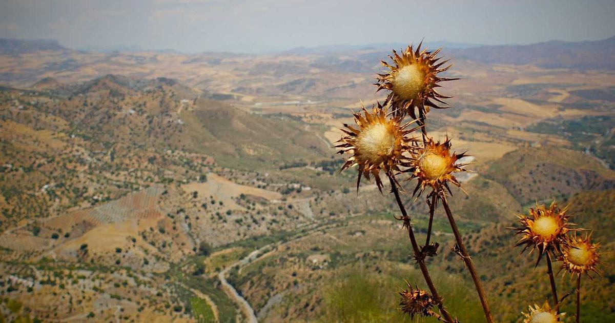 Rıdvan Dilmen’den Fenerbahçe Maçı Öncesi Kritik Kante Uyarısı!