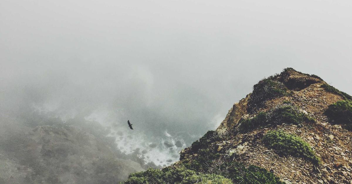 Trabzonspor’un Tek Hedefi Fenerbahçe Maçı!